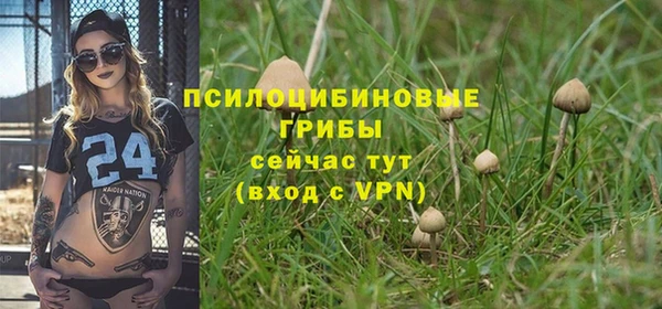 мяу мяу мука Абаза