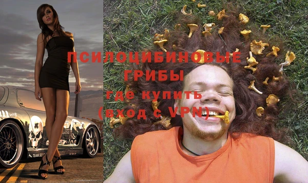 мяу мяу мука Абаза