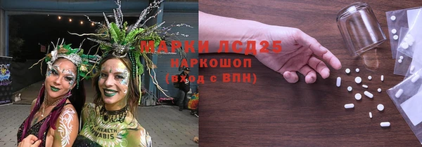 стаф Алзамай